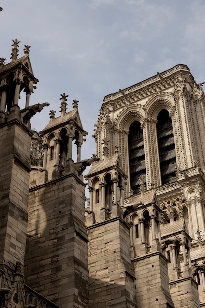 Details der Notre-Dame-Kirche in Paris, Frankreich.