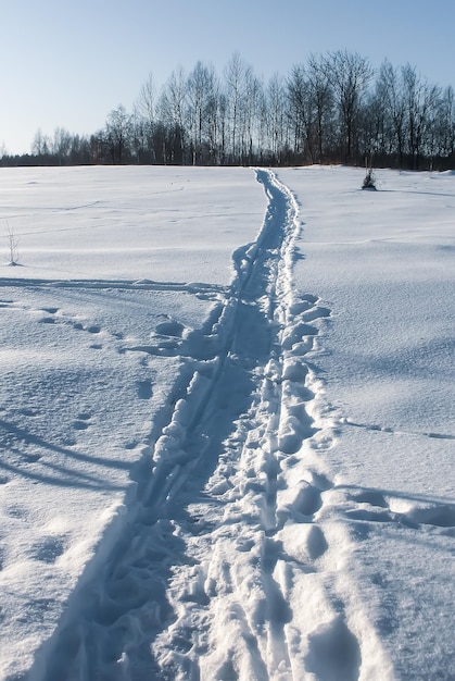 Foto details der winternatur auf dem land