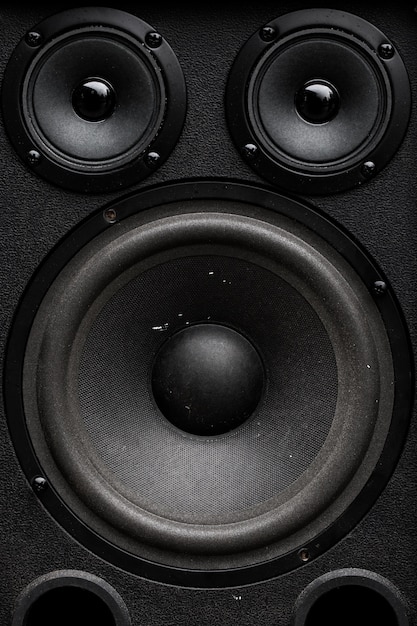 Details des Lautsprecherwoofers