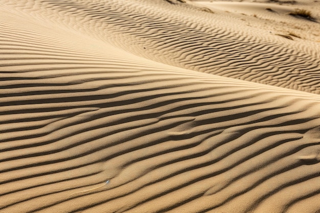 Detalhe da duna de areia com o vento criando padrões ondulados