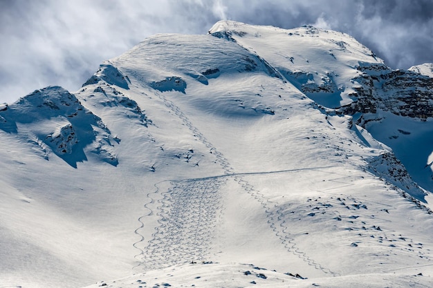 Detalhe da neve das trilhas de esqui do sertão