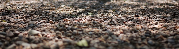 Detalhe da praia de pedra