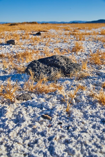 Detalhe da rocha preta descansando nas areias brancas do deserto com grama amarela