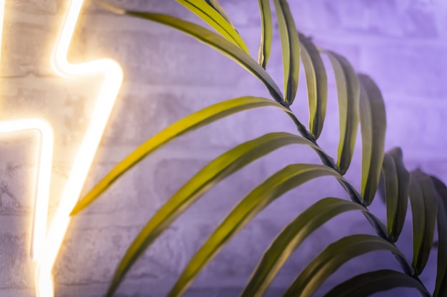 Detalhe da sala do jogador de plantas, néons e luzes coloridas. plano de fundo retrô tropical onda de vapor