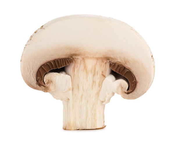 Detalhe da seção de champignons