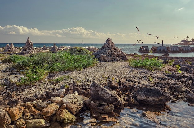 Detalhe da vista da praia de Puerto Aventuras, no México, com algumas gaivotas voando do mar para a costa.