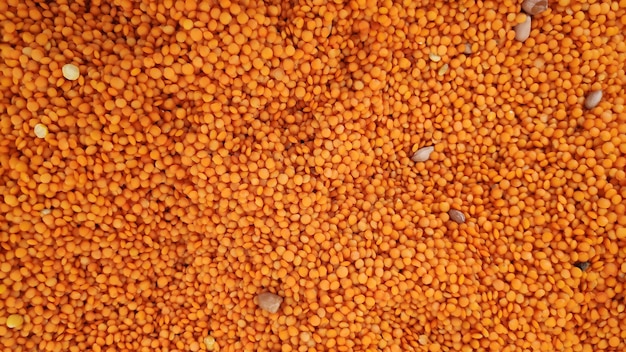 Detalhe das lentilhas vermelhas