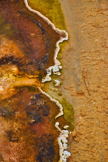 Detalhe de águas alcalinas na bacia de Yellowstone