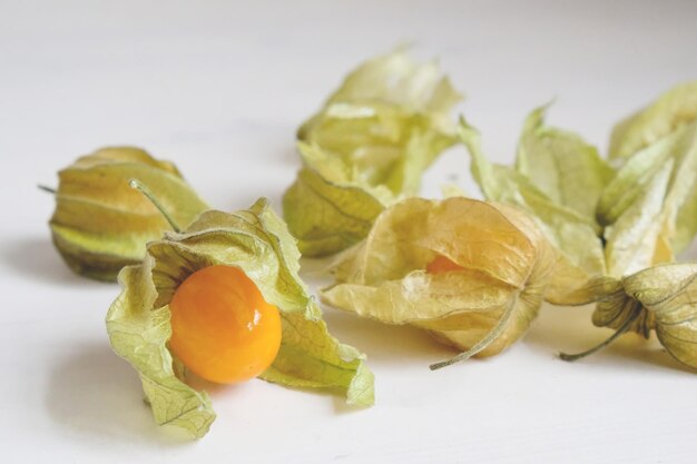 Detalhe de bagas de physalis