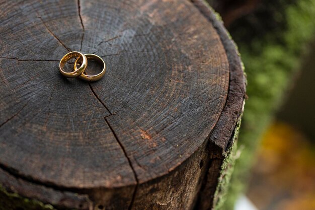 Foto detalhe de duas anéis de casamento colocados em cima de um tronco de árvore