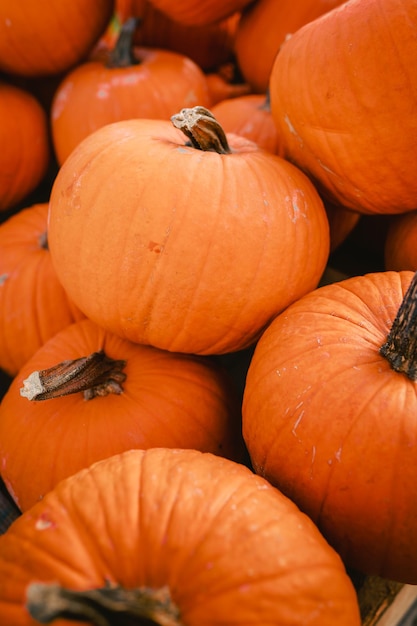 Detalhe de pilha de abóboras para festividades de Halloween vertical