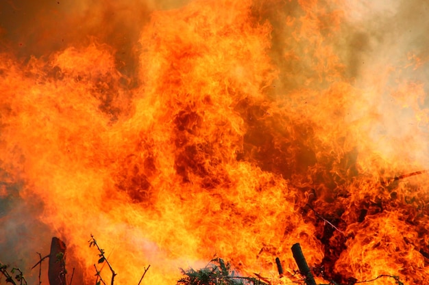 Foto detalhe de tiro de fogo