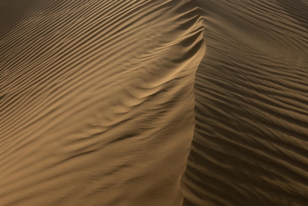 Detalhe de um belo deserto de meditação de dunas de areia do deserto