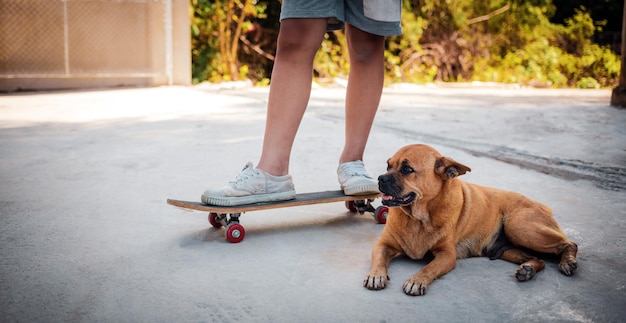 Detalhe de um menino praticando em pé em um skate com seu cachorro