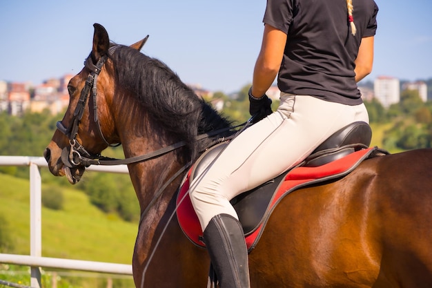 Detalhe de uma garota irreconhecível andando a cavalo com um cavalo marrom, vestida de cavaleiro preto com boné de segurança