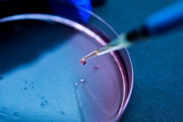 Detalhe de uma pipeta que deixa cair uma gota de fluido em uma placa de Petri em um laboratório com um ambiente azul