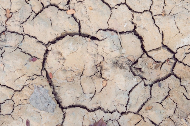 Detalhe de uma rachadura de terra rachada Terra rachadura solo aquecimento global