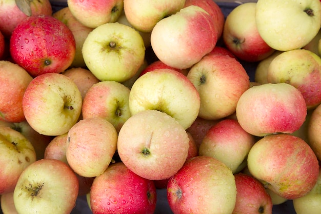 Detalhe do fundo de frutas de maçã