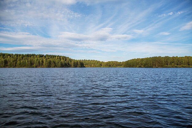 Detalhe do Lago Vlasina na Sérvia