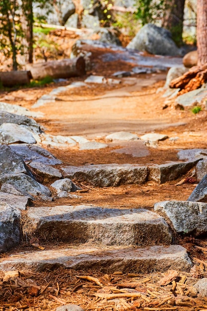 Detalhe dos degraus de pedra do caminho de caminhada cobertos por agulhas de pinheiro