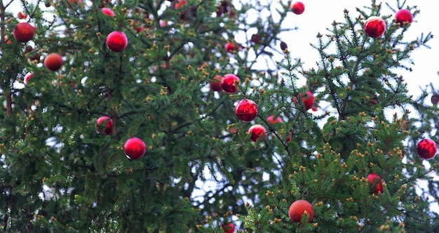 Detalhes da decoração de Natal na árvore de Natal