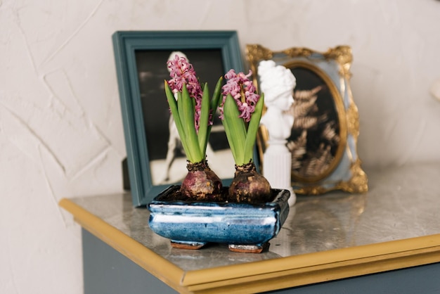 Detalhes da decoração interior com geocintos floridos em vasos e hortênsias