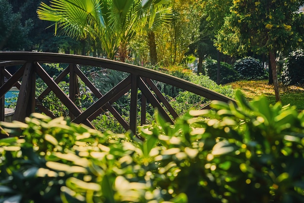 Detalhes do design de foco seletivo do parque da cidade e paisagem do ambiente urbano Idéia para plano de fundo ou papel de parede