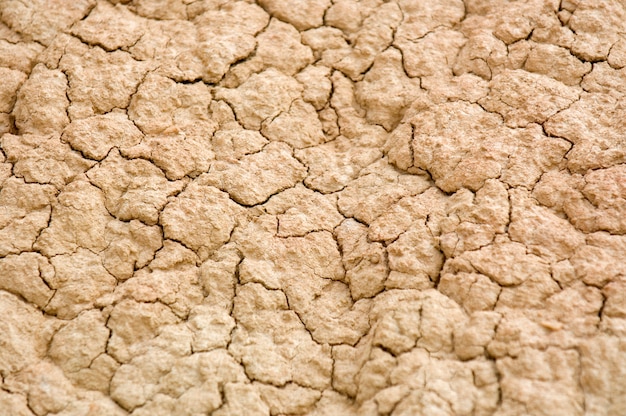 Detalhes dos terrenos secos do deserto de Bardenas Reales