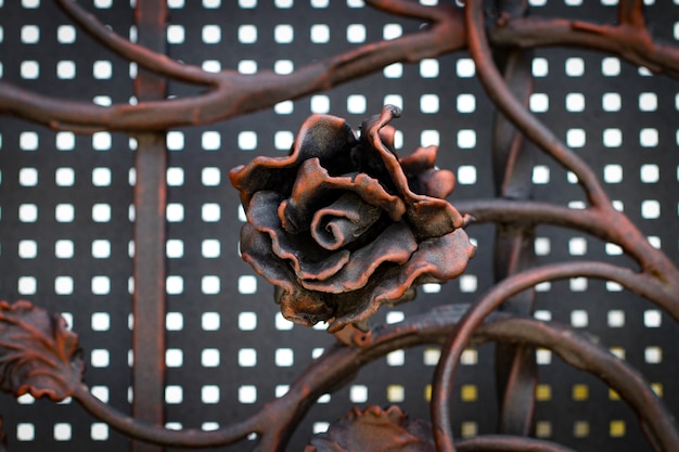 Detalhes, estrutura e ornamentos de portão de ferro forjado. ornamento decorativo floral, feito de metal. padrão metálico vintage. elementos decorativos como pano de fundo.