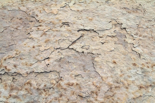 detalle abstracto de la superficie de la roca