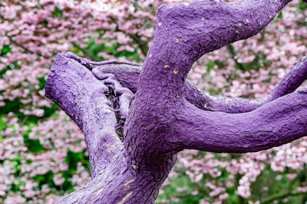 Detalle de árbol pintado de violeta púrpura