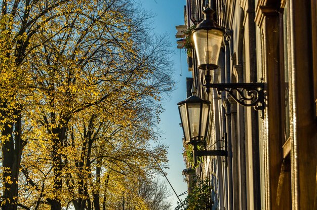 Detalle arquitectónico típico de la calle en Ámsterdam, Países Bajos