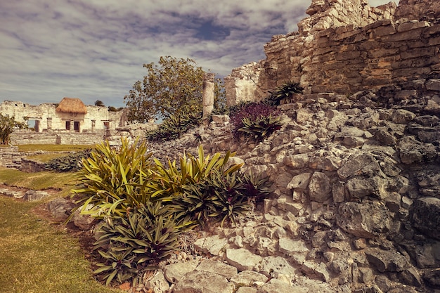 Foto detalle de la arquitectura de los templos mayas pertenecientes a las ruinas de tulum en méxico