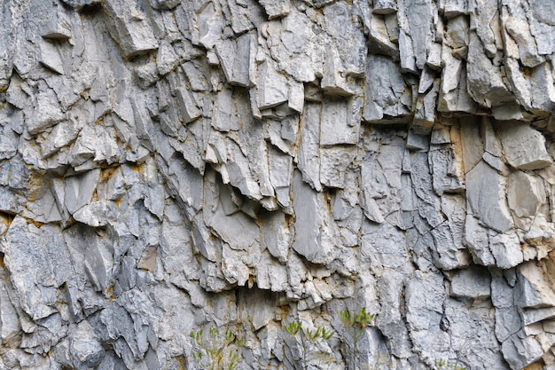 Detalle del bosque de piedra cerca de Monodendri en Epiro