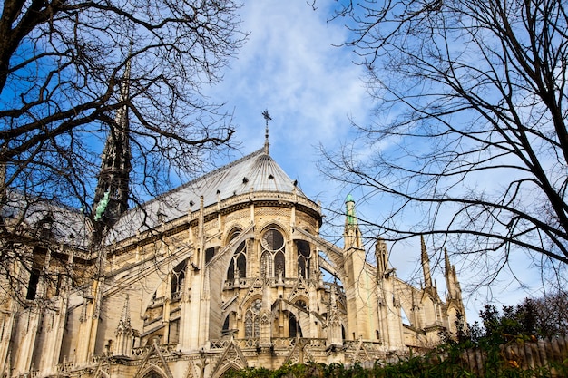 Detalle de la catedral gótica de Notre Dame en París
