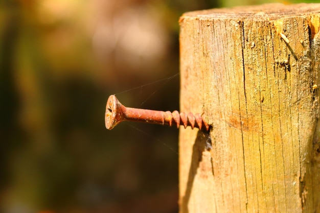 Foto detalle de un clavo oxidado en un bloque de madera