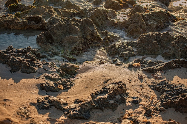 Detalle de la costa en Dominicus con arena y rocas