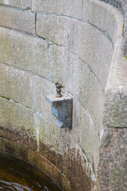 Detalle edificio y arquitectura fondo san petersburgo