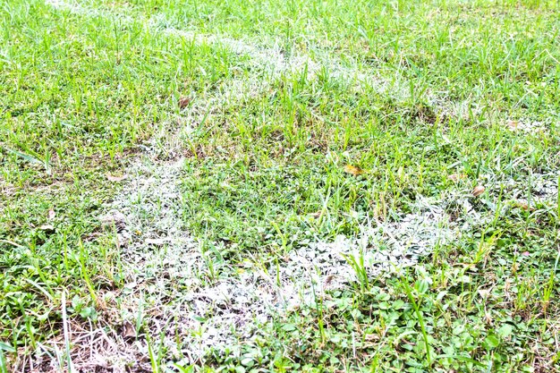 Detalle de la esquina del campo de fútbol