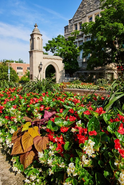 Detalle de flores rojas por la entrada del campus universitario de Sample Gates en la Universidad de Bloomington, Indiana