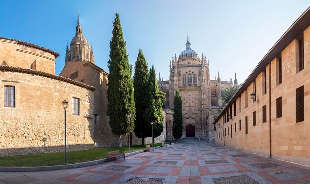 Detalle de la foto de parte de la catedral de Salamanca en España