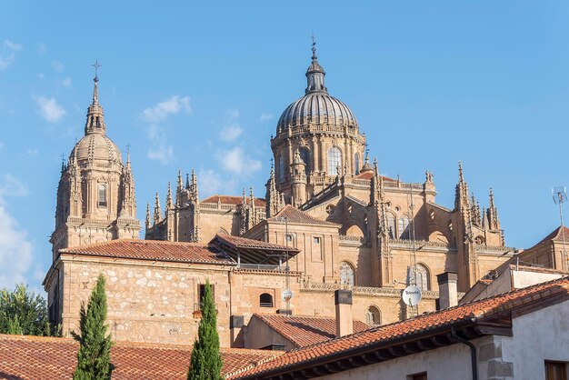 Detalle de la foto de parte de la catedral de Salamanca en España