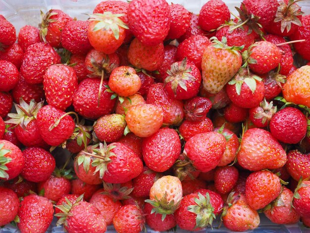 Detalle de frutas de fresa