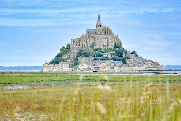 Detalle de hierba en primer plano y Mont Saint Michel