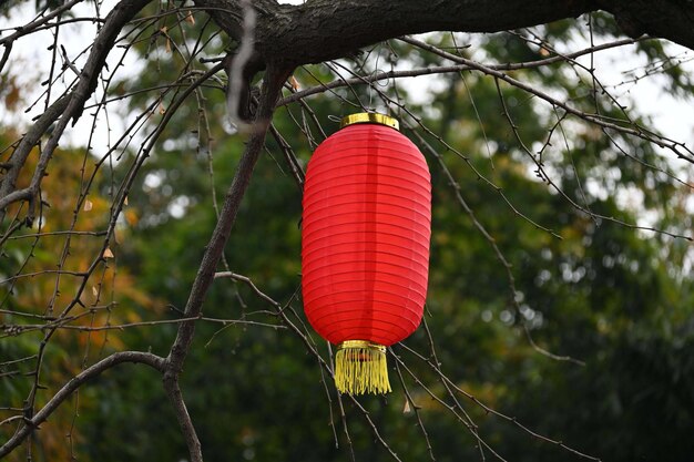 Foto detalle de linternas rojas chinas