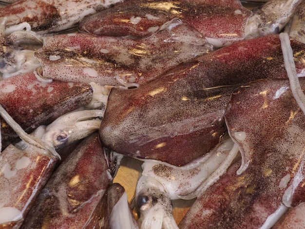 Detalle del mercado de pescado de calamares en Ortigia old wown siracuse Sicilia
