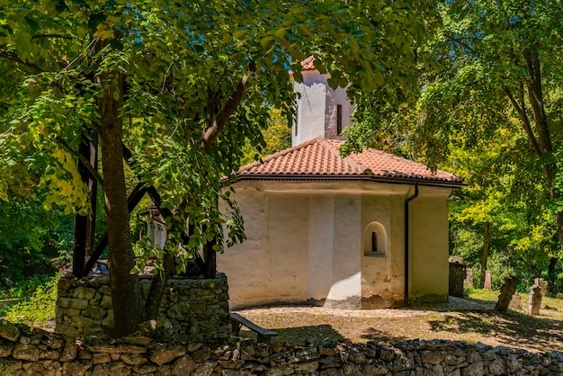 Detalle del Monasterio de Pedro y Pablo en Gliste, Serbia