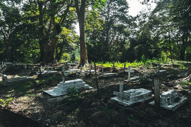 Foto detalle de muchas cruces colocadas sobre sus respectivas tumbas en un