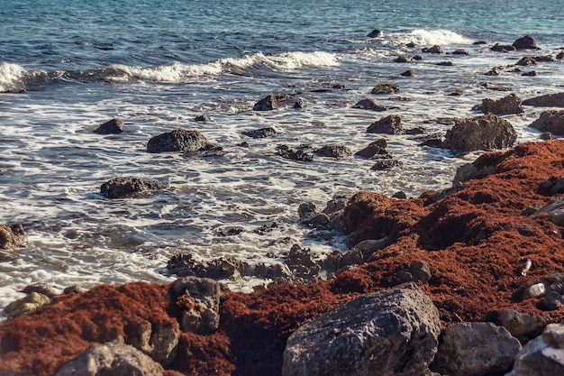 Detalle de las olas del mar rompiendo en la costa rocosa