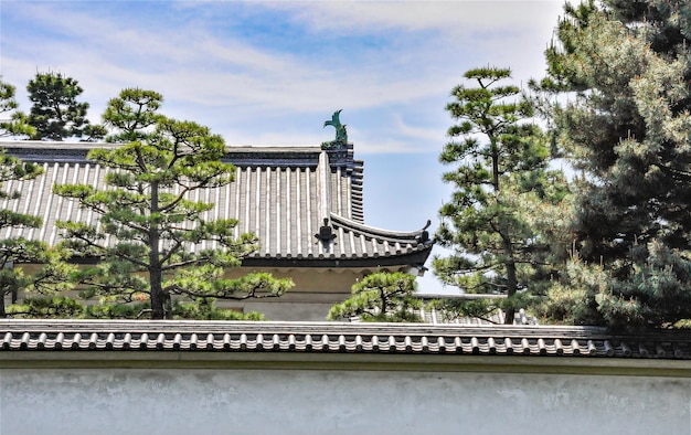 Foto detalle del palacio imperial de tokio vista del techo durante el día